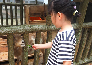 保育方針 写真05